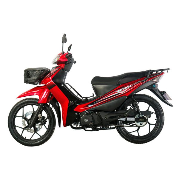 Lifan Oriol 110 - Imagen 6