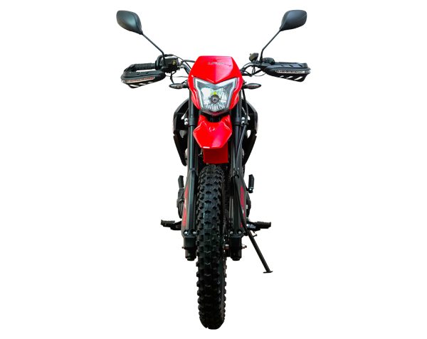 Lifan XTrial 250 - Imagen 6