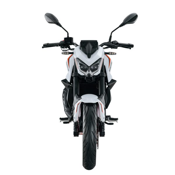 QJMOTOR TRX 250 - Imagen 5